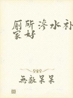 厕所渗水补漏哪家好