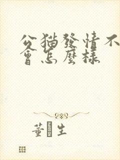 公猫发情不配种会怎么样