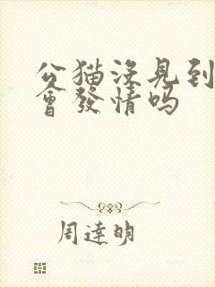 公猫没见到母猫会发情吗