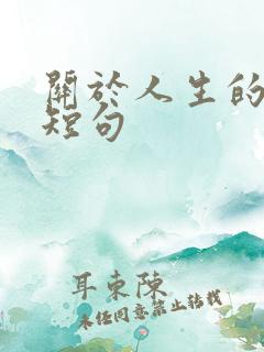 关于人生的感悟短句