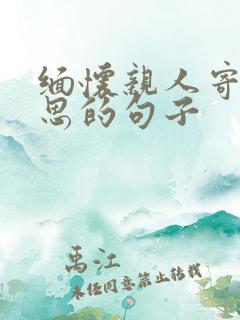 缅怀亲人寄托哀思的句子