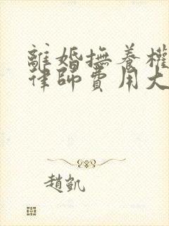 离婚抚养权起诉律师费用大概要多少