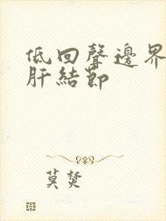 低回声边界清晰肝结节