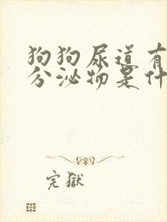 狗狗尿道有黄色分泌物是什么原因?