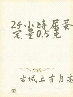 24小时尿蛋白定量0.5克