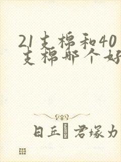 21支棉和40支棉哪个好