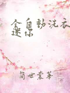 全自动洗衣机 迷你