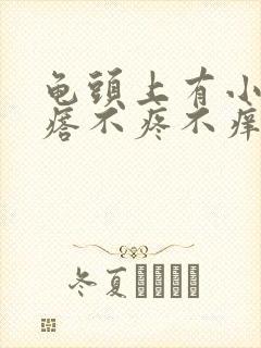 龟头上有小红疙瘩不疼不痒是怎么回事