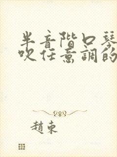 半音阶口琴可以吹任意调的曲子吗