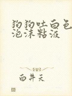 狗狗吐白色黄色泡沫粘液