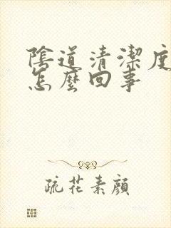 阴道清洁度3是怎么回事