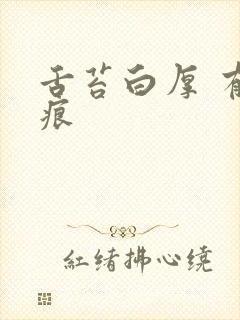 舌苔白厚 有齿痕