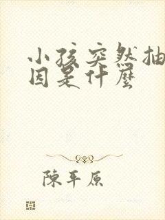 小孩突然抽搐原因是什么