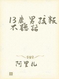 13岁男孩叛逆不听话