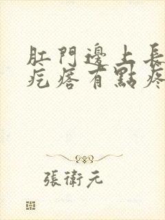 肛门边上长个硬疙瘩有点疼