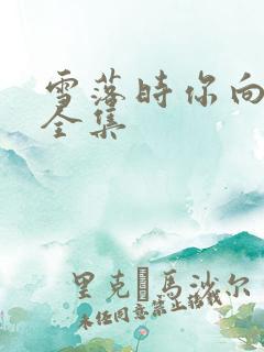 雪落时你向南飞全集