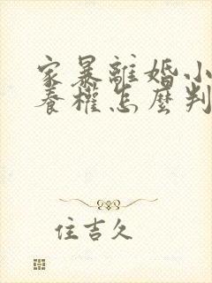 家暴离婚小孩抚养权怎么判