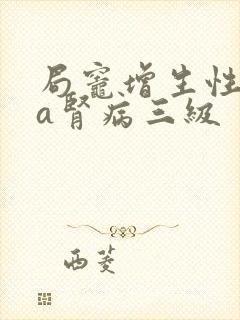 局灶增生性iga肾病三级