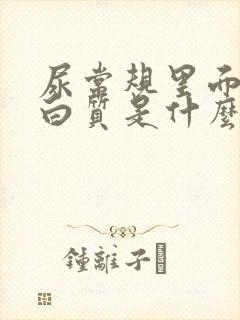 尿常规里面有蛋白质是什么意思