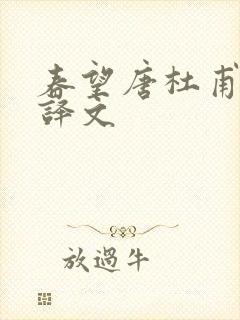 春望唐杜甫古诗译文