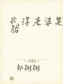 我得老婆是双胞胎