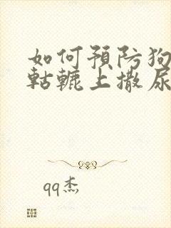 如何预防狗往车轱辘上撒尿