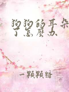 狗狗的耳朵发炎了怎么办