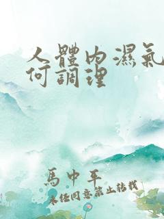 人体内湿气重如何调理