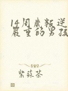 14周岁叛逆期严重的男孩如何管教