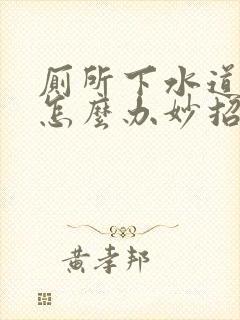 厕所下水道堵了怎么办妙招