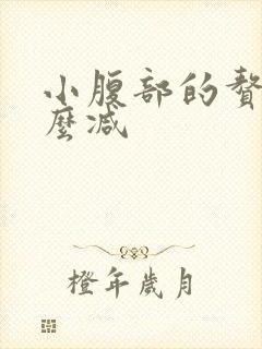 小腹部的赘肉怎么减