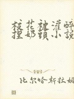 校花被灌醉扒衣捏奶头小说