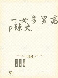 一女多男高hnp辣文