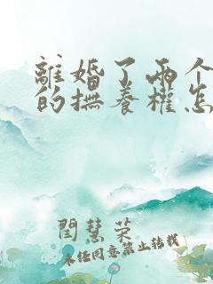 离婚了两个儿子的抚养权怎么判决