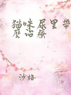 猫咪尿里带血怎么治疗