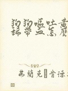 狗狗呕吐黄水拉稀带血怎么回事