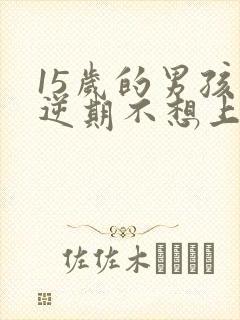 15岁的男孩叛逆期不想上学