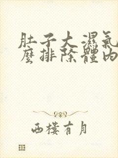 肚子大湿气重怎么排除体内湿气