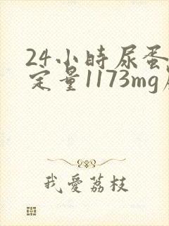 24小时尿蛋白定量1173mg严不严重