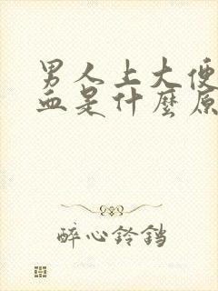 男人上大便拉出血是什么原因