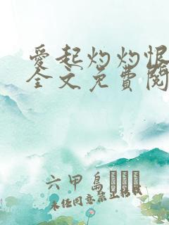 爱起灼灼恨生沉全文免费阅读