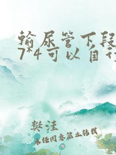 输尿管下段结石7*4可以自行排出吗