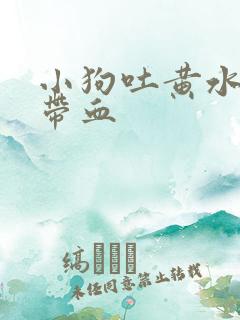 小狗吐黄水拉稀带血