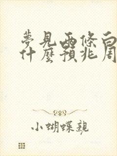 梦见两条白蛇是什么预兆周公解梦