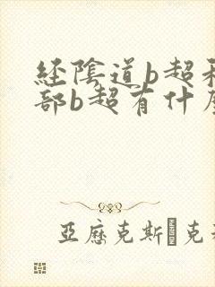 经阴道b超和腹部b超有什么区别