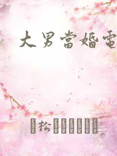 大男当婚电视剧