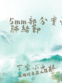 5mm部分实性肺结节