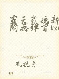 霸天武魂新笔趣阁无弹窗txt