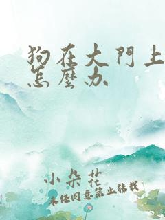 狗在大门上小便怎么办