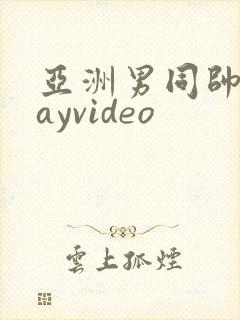 亚洲男同帅哥gayvideo